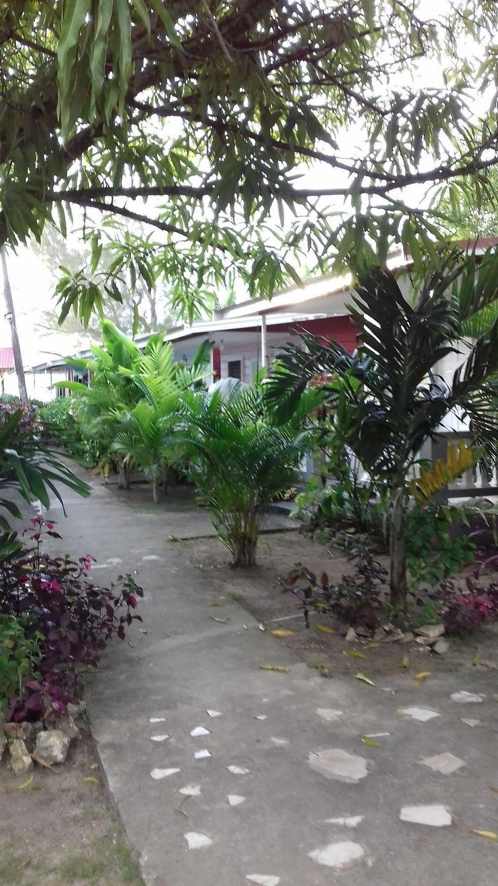 Roots Bamboo Beach Resort 内格里尔 外观 照片